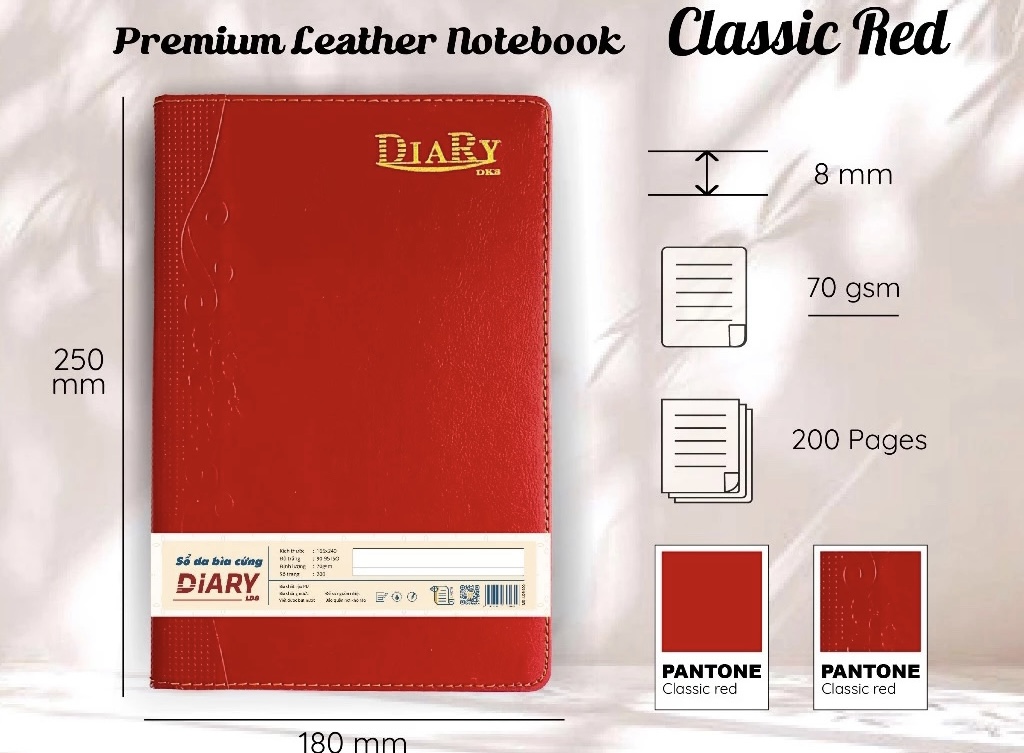 Sổ bìa da B5 DIARY DK8