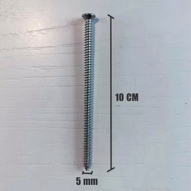 Đinh vít 10cm (Kg)