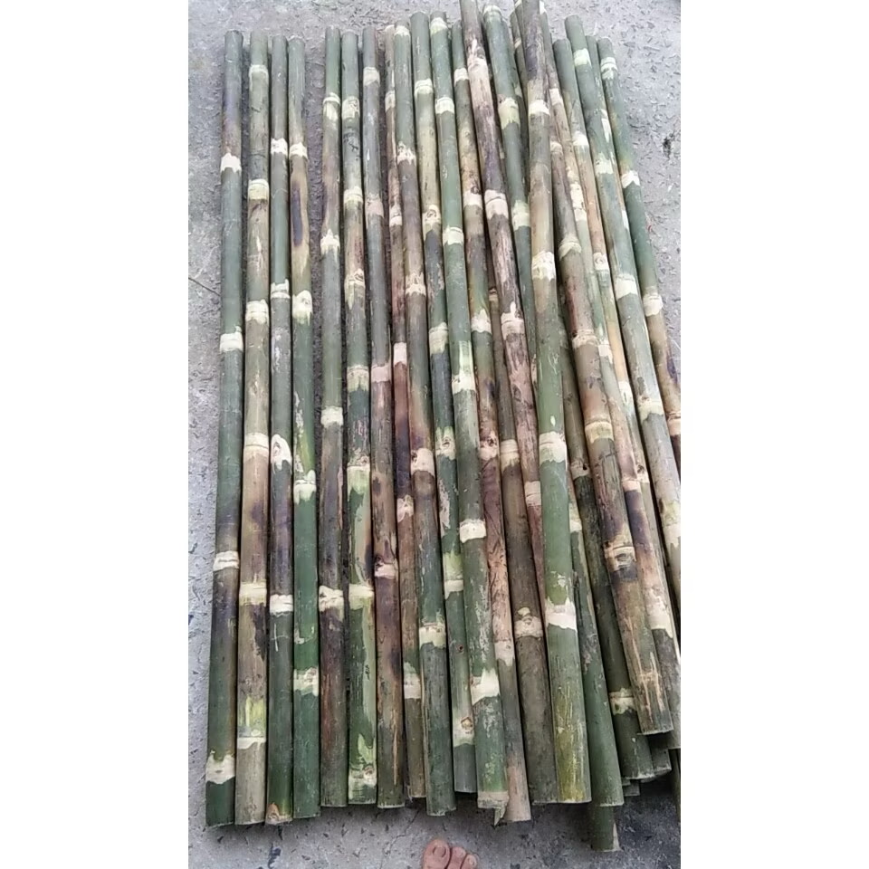 Cọc tre ( cái)