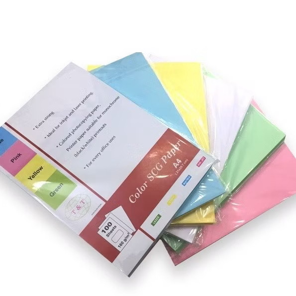 Bìa đóng số A4 ngoại PT DL 160gsm( ram giấy ) T&T