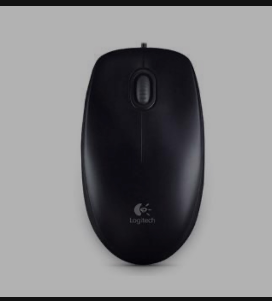 Chuột Logitech M100/M100R USB ( cái)