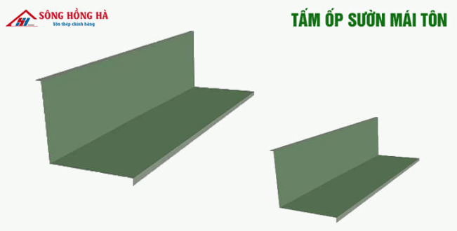 Sườn tôn