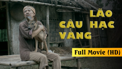 Đĩa DVD: Phim truyện: Cậu vàng