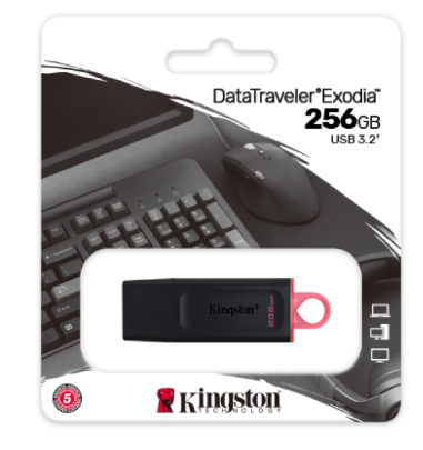 USB Kingston DTX 256GB