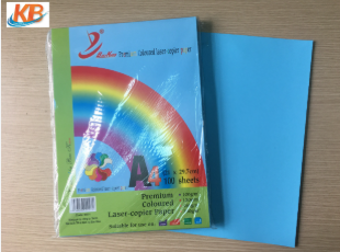 Bìa màu xanh A4 (tập)