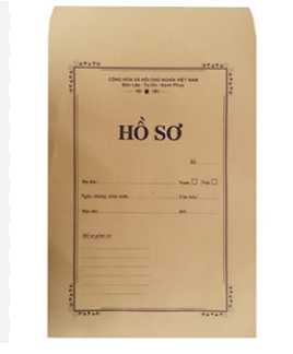 Túi hồ sơ (túi)